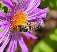 View photo in a new window