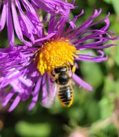 View photo in a new window