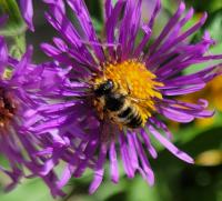 View photo in a new window