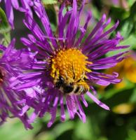 View photo in a new window