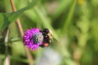 View photo in a new window