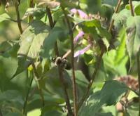 View photo in a new window