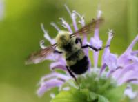 View photo in a new window