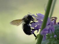 View photo in a new window