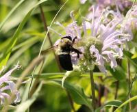 View photo in a new window