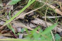 View photo in a new window