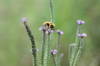 View photo in a new window