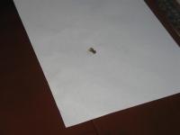 View photo in a new window