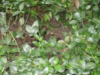 View photo in a new window