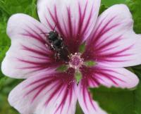 View photo in a new window