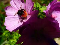 View photo in a new window