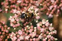 View photo in a new window