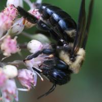 View photo in a new window