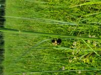 View photo in a new window