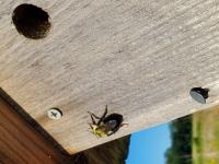 View photo in a new window