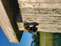 View photo in a new window