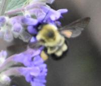 View photo in a new window