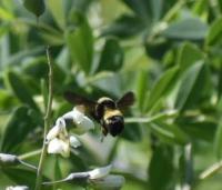 View photo in a new window