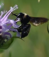 View photo in a new window