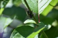 View photo in a new window