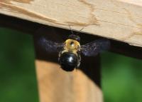 View photo in a new window