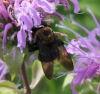 View photo in a new window