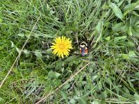 View photo in a new window