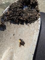 View photo in a new window