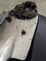 View photo in a new window