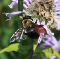 View photo in a new window