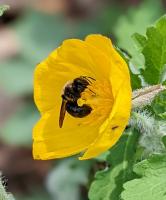 View photo in a new window