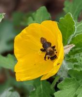 View photo in a new window