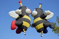 View photo in a new window