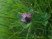 View photo in a new window