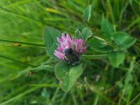 View photo in a new window