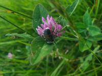 View photo in a new window