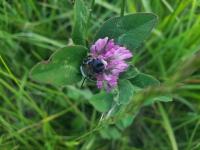 View photo in a new window