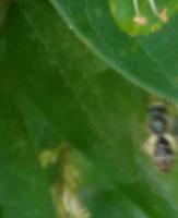 View photo in a new window