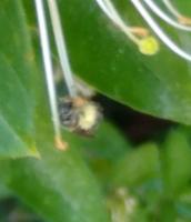 View photo in a new window