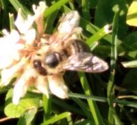 View photo in a new window