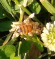 View photo in a new window