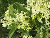 View photo in a new window