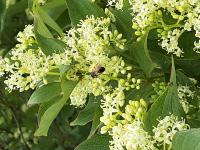 View photo in a new window