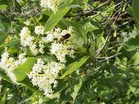 View photo in a new window