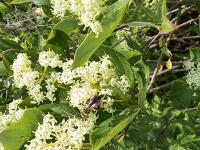 View photo in a new window