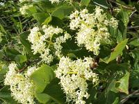 View photo in a new window