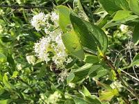 View photo in a new window