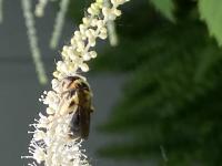 View photo in a new window