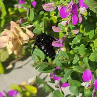 View photo in a new window