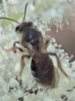 View photo in a new window